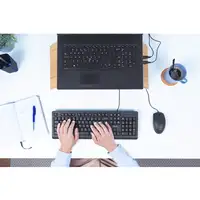 Trust Primo teclado Universal USB QWERTY Español Negro