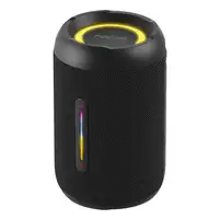 ROLLERFURIA2TINYBLACK