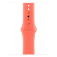 Apple MDRT4ZM/A Accesorios para dispositivos vestibles inteligentes Grupo de rock