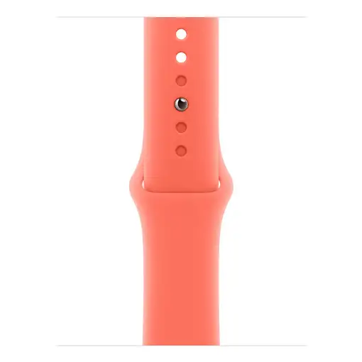 Apple MDRT4ZM/A Accesorios para dispositivos vestibles inteligentes Grupo de rock
