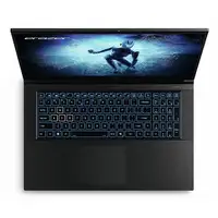 Erazer MD62643 Intel® Core™ i7 i7-12650H Portátil 43,9 cm (17.3") Full HD 16 GB DD