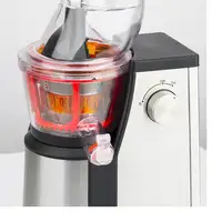 H.Koenig GSX18 exprimidor Exprimidor lenta 400 W Negro, Acero inoxidable