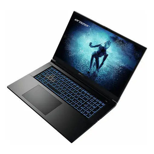 Erazer MD62596 Intel® Core™ i5 i5-12450H Portátil 43,9 cm (17.3\) Full HD 16 GB DD