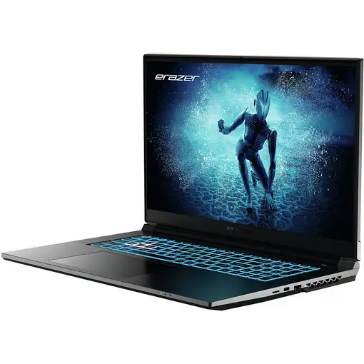 Erazer MD62596 Intel® Core™ i5 i5-12450H Portátil 43,9 cm (17.3\) Full HD 16 GB DD