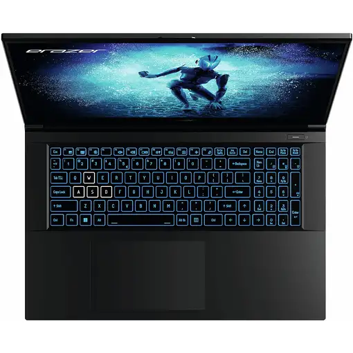 Erazer MD62596 Intel® Core™ i5 i5-12450H Portátil 43,9 cm (17.3\) Full HD 16 GB DD