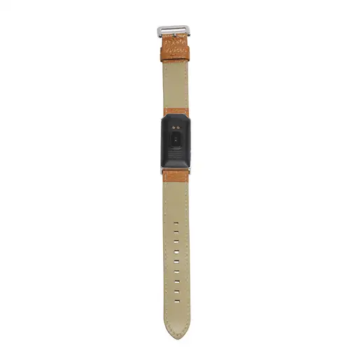 Denver BFH-250 Pulsera de actividad 2,44 cm (0.96") IP68 Marrón, Plata