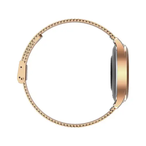 MaxCom FW42 GOLD Relojes inteligentes y deportivos 2,77 cm (1.09") TFT Digital 240