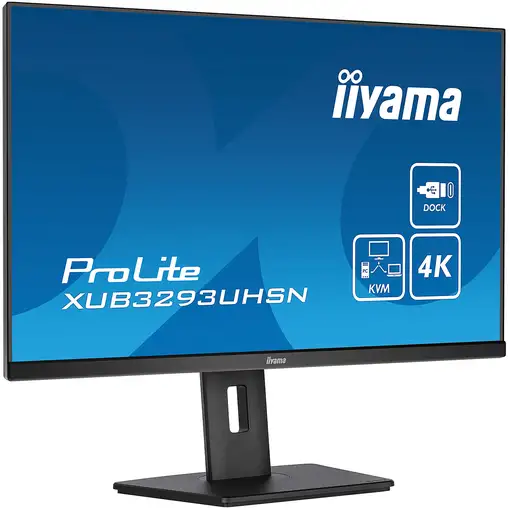 iiyama ProLite XUB3293UHSN-B5 pantalla para PC 80 cm (31.5") 3840 x 2160 Pixeles 4