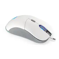 ENDORFY GEM Plus Onyx White ratón Juego mano derecha USB Tipo C Óptico 19000 DPI