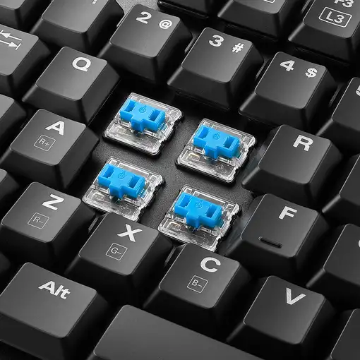 Sharkoon PureWriter RGB teclado Juego USB AZERTY Francés Negro
