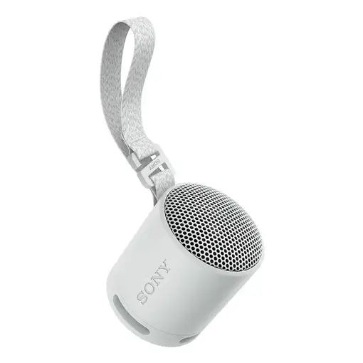 Sony SRS-XB100 Altavoz monofónico portátil Gris