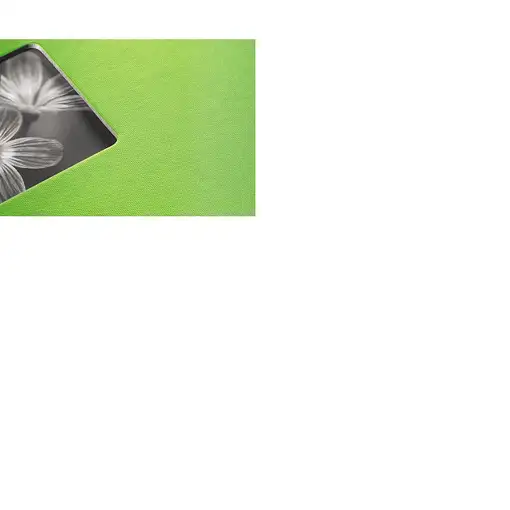 Hama Fine Art álbum de foto y protector Verde 50 hojas 100 x 150