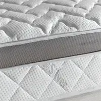 Colchón viscoelástico con hilo de plata | altura 25 cm