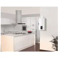Ariston Next evo x SFT Vertical Sin depósito (instantánea) Sistema de calentador ú