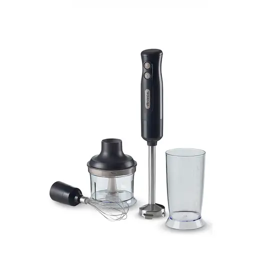 Ariete 0601/10 0,6 L Batidora de inmersión 700 W Gris