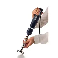 Ariete 0601/10 0,6 L Batidora de inmersión 700 W Gris