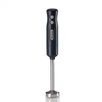 Ariete 0601/10 0,6 L Batidora de inmersión 700 W Gris