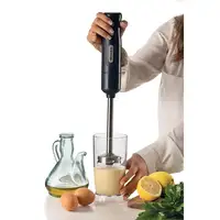 Ariete 0601/10 0,6 L Batidora de inmersión 700 W Gris