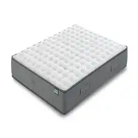 Colchón Flex Palace Visco Gel 23 Gemelo A 90x182