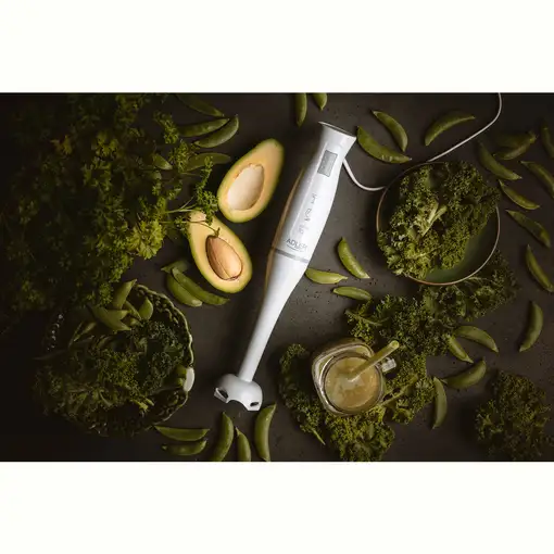 Batidora de Mano Brazo Desmontable, Cuchillas de Corte en Acero Inox AD4622, Adler