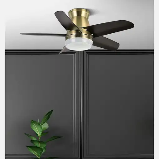 Fabrilamp 207991536 ventilador Negro, Oro